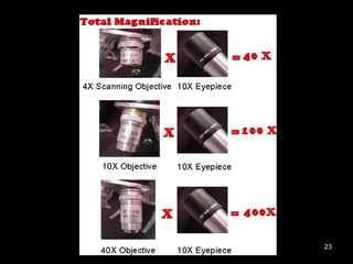 Microscopy