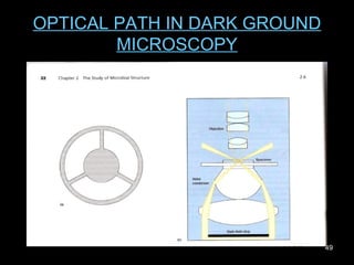 OPTICAL PATH IN DARK GROUND MICROSCOPY 