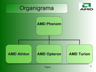 Organigrama AMD Phenom AMD Athlon AMD Opteron AMD Turion 