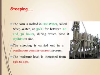 Steeping……
The corn is soaked in Hot-Water, called
Steep-Water, at 50˚C for between 20
and 30 hours, during which time it
doubles in size.
The steeping is carried out in a
continuous counter-current process.
The moisture level is increased from
15% to 45%.
 
