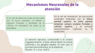 Mecanismos Neuronales de la
atención
En la red de alerta las áreas involucradas
son, el locus coeruleus, el tálamo y
regiones frontales y parietales de la
corteza, el modulador de éstas es la
adrenalina.
En la red de orientación, las estructuras
cerebrales implicadas son el lóbulo
parietal superior, la unión parietal
temporal, campos oculares frontales y
colículo superior, y el principal
neurotransmisor implicado es la
acetilcolina.
La atención ejecutiva, compromete a la corteza
cingulada anterior, el área ventral lateral, la corteza
prefrontal y los ganglios basales, en este caso el
principal neurotransmisor es la dopamina
(Posner, M. I. et al., 2007).
 