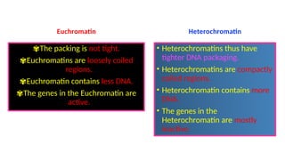 Euchromatin
✾The packing is not tight.
✾Euchromatins are loosely coiled
regions.
✾Euchromatin contains less DNA.
✾The genes in the Euchromatin are
active.
Heterochromatin
• Heterochromatins thus have
tighter DNA packaging.
• Heterochromatins are compactly
coiled regions.
• Heterochromatin contains more
DNA.
• The genes in the
Heterochromatin are mostly
inactive.
© Mr. Suman Neerukonda
 