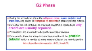 G2 Phase
✩ During the second gap phase the cell grows more, makes proteins and
organelles, and begins to reorganize its contents in preparation for mitosis.
✩During G2 the cell continues to grow and new DNA is checked and any
errors are usually repaired.
✩ Preparations are also made to begin the process of division.
✩ For example, there is a sharp increase in production of the protein
tubulin which is needed to make microtubules for the mitotic spindle.
Interphase therefore consists of G1, S and G2.
 