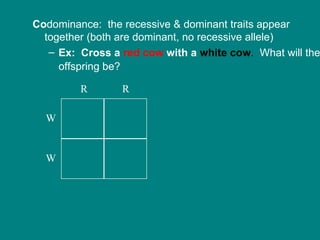 Co dominance:  the recessive & dominant traits appear together (both are dominant, no recessive allele) Ex:  Cross a  red cow  with a  white cow .   What will the offspring be?   R  R W  W  
