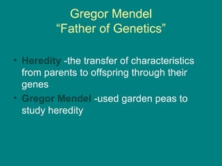 Gregor Mendel “Father of Genetics” Heredity  -the transfer of characteristics from parents to offspring through their genes Gregor Mendel  -used garden peas to study heredity 