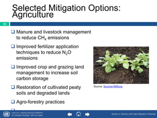 Selected Mitigation Options: 
Agriculture 
 Manure and livestock management 
to reduce CH4 emissions 
 Improved fertilizer application 
techniques to reduce N2O 
emissions 
 Improved crop and grazing land 
management to increase soil 
carbon storage 
 Restoration of cultivated peaty 
soils and degraded lands 
 Agro-forestry practices 
 … 
One UN Training Service Platform 
on Climate Change: UN CC:Learn 
Section 3: Sectors with High Mitigation Potential 
35 
Source: Succow-Stiftung 
 
