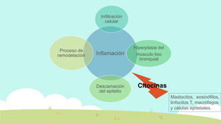 Inflamación
Infiltración
celular
Hiperplasia del
músculo liso
bronquial
Descamación
del epitelio
Proceso de
remodelación
Mastocitos, eosinófilos,
linfocitos T, macrófagos
y células epiteliales.
Citocinas
 