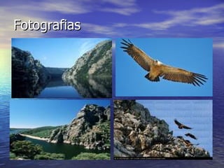 Fotografias 