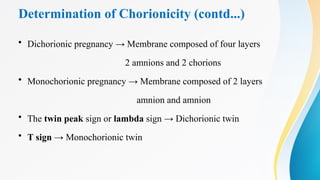 Determination of Chorionicity (contd...)
• Dichorionic pregnancy → Membrane composed of four layers
2 amnions and 2 chorions
• Monochorionic pregnancy → Membrane composed of 2 layers
amnion and amnion
• The twin peak sign or lambda sign → Dichorionic twin
• T sign → Monochorionic twin
 