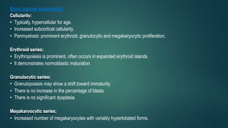 Bone marrow examination:
Cellularity:
• Typically, hypercellular for age.
• Increased subcortical cellularity.
• Panmyelosis: prominent erythroid, granulocytic and megakaryocytic proliferation.
Erythroid series:
• Erythropoiesis is prominent, often occurs in expanded erythroid islands.
• It demonstrates normoblastic maturation.
Granulocytic series:
• Granulopoiesis may show a shift toward immaturity.
• There is no increase in the percentage of blasts.
• There is no significant dysplasia.
Megakaryocytic series:
• Increased number of megakaryocytes with variably hyperlobated forms.
 