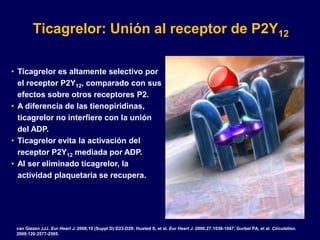 Ticagrelor: Unión al receptor de P2Y12

• Ticagrelor es altamente selectivo por
  el receptor P2Y12, comparado con sus
  efectos sobre otros receptores P2.
• A diferencia de las tienopiridinas,
  ticagrelor no interfiere con la unión
  del ADP.
• Ticagrelor evita la activación del
  receptor P2Y12 mediada por ADP.
• Al ser eliminado ticagrelor, la
  actividad plaquetaria se recupera.




 van Giezen JJJ. Eur Heart J. 2008;10 (Suppl D):D23-D29; Husted S, et al. Eur Heart J. 2006;27:1038-1047; Gurbel PA, et al. Circulation.
 2009;120:2577-2585.
 