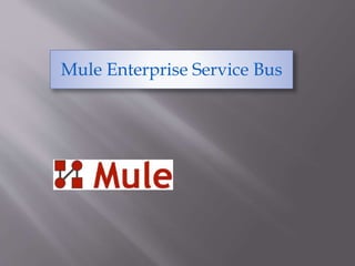 Mule Enterprise Service Bus
 
