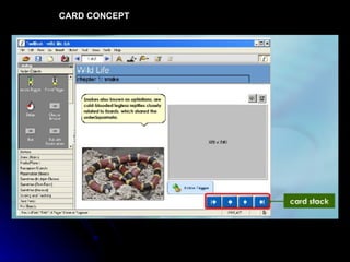 CARD CONCEPT 
