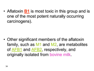 34
• Aflatoxin B1 is most toxic in this group and is
one of the most potent naturally occurring
carcinogens).
• Other significant members of the aflatoxin
family, such as M1 and M2, are metabolites
of AFB1 and AFB2, respectively, and
originally isolated from bovine milk.
 