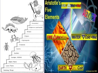 My Report (Aristotle)