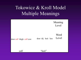 Tokowicz & Kroll Model
Multiple Meanings
Meaning
Level
Word
Level
calf “kuit”
door calf thigh calf cow deur dij kuit koe
 