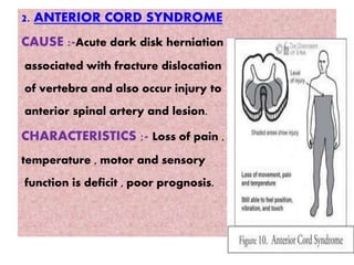 2. ANTERIOR CORD SYNDROME
CAUSE :-Acute dark disk herniation
associated with fracture dislocation
of vertebra and also occur injury to
anterior spinal artery and lesion.
CHARACTERISTICS ;- Loss of pain ,
temperature , motor and sensory
function is deficit , poor prognosis.
 