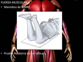 FUERZA MUSCULAR
• Maniobra de BARRE
• Prueba Rotatoria de los Indices
 