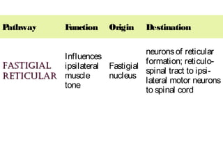Pathway Function Origin Destination
fastiGialfastiGial
reticularreticular
Influences
ipsilateral
muscle
tone
Fastigial
nucleus
neuronsof reticular
formation; reticulo-
spinal tract to ipsi-
lateral motor neurons
to spinal cord
 