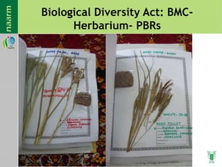 Biological Diversity Act: BMC-
Herbarium- PBRs
 