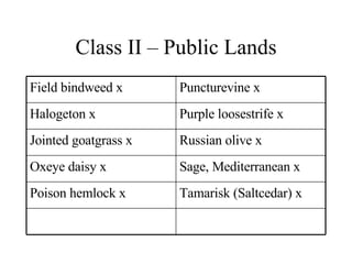 Class II – Public Lands Tamarisk (Saltcedar) x Poison hemlock x Sage, Mediterranean x Oxeye daisy x Russian olive x Jointed goatgrass x Purple loosestrife x Halogeton x Puncturevine x Field bindweed x 