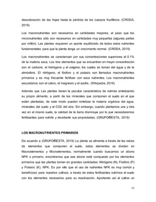 11
descoloración de las hojas hasta la pérdida de los cuerpos fructíferos. (CRODA,
2019)
Los macronutrientes son necesarios en cantidades mayores, al paso que los
micronutrientes sólo son necesarios en cantidades muy pequeñas (algunas partes
por millón). Las plantas requieren un aporte equilibrado de todos estos nutrientes
fundamentales para que la planta tenga un crecimiento normal. (CRODA, 2019)
Los macronutrientes se caracterizan por sus concentraciones superiores al 0.1%
de la materia seca. Los tres elementos que se encuentran en mayor concentración
son el carbono, el hidrógeno y el oxígeno; los cuales se toman del agua y de la
atmósfera. El nitrógeno, el fósforo y el potasio son llamados macronutrientes
primarios y es muy frecuente fertilizar con esos nutrientes. Los macronutrientes
secundarios son el calcio, el magnesio y el azufre. (Wikipedia, 2019)
Además que Las plantas tienen la peculiar característica de nutrirse sintetizando
su propio alimento, a partir de los minerales que componen el suelo en el que
están plantadas, de este modo pueden sintetizar la materia orgánica del agua,
minerales del suelo y el CO2 del aire. Sin embargo, cuando plantamos una y otra
vez en el mismo suelo, la calidad de la tierra disminuye por lo que necesitaremos
fertilizantes para nutrirla y devolverle sus propiedades. (GRUPOIÑESTA, 2019)
LOS MACRONUTRIENTES PRIMARIOS
De acuerdo a (GRUPOIÑESTA, 2019) La planta se alimenta a través de las raíces
de elementos que componen el suelo, estos elementos se dividen en
Macroelementos y Microelementos, normalmente cuando buscamos un abono
NPK o primario, encontramos que ese abono está compuesto por los elementos
primarios que las plantas toman en grandes cantidades: Nitrógeno (N), Fósforo (P)
y Potasio (K), NPK. Es por ello que el uso de nutrientes NPK es muy común y
beneficioso para nuestros cultivos, a través de estos fertilizantes nutrimos el suelo
con los elementos necesarios para su reactivación. Aportando así al cultivo un
 