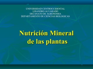 Nutrición MineralNutrición Mineral
de las plantasde las plantas
UNIVERSIDAD CENTROCCIDENTAL
LISANDRO ALVARADO
DECANATO DE AGRONOMIA
DEPARTAMENTO DE CIENCIAS BIOLOGICAS
 