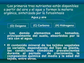 - Los demás elementos son tomados,
principalmente del suelo, absorbidos por la
raíz con el agua.
 El contenido mineral de los tejidos vegetales
es variable, dependiendo del tipo de planta,
las condiciones climáticas prevalecientes
durante el período de crecimiento, la
composición química del medio y la edad del
tejido, entre otros.
•Los primeros tres nutrientes están disponibles
a partir del aire y el agua y forman la materia
orgánica, sintetizada por la fotosíntesis
(O) Oxigeno (C) Carbono (H) Hidrogeno
Agua y aire
 