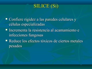 SILICE (Si)SILICE (Si)
 Confiere rigidez a las paredes celulares yConfiere rigidez a las paredes celulares y
células especializadascélulas especializadas
 Incrementa la resistencia al acamamiento eIncrementa la resistencia al acamamiento e
infecciones fungosasinfecciones fungosas
 Reduce los efectos tóxicos de ciertos metalesReduce los efectos tóxicos de ciertos metales
pesadospesados
 