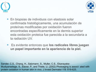  En biopsias de individuos con elastosis solar
        confirmada histológicamente, una acumulación de
        proteínas modificadas por oxidación fueron
        encontradas específicamente en la dermis superior
        esta oxidación proteica fue parecida a la secundaria a
        la radiación UV.

      Es evidente entonces que los radicales libres juegan
        un papel importante en la apariencia de la piel.



Sander, C.S., Chang, H., Salzmann, S., Muller, C.S., Ekanayake-
Mudiyanselage, S., Elsner, P., and Thiele, U. (2002) Photoaging is associ- ated with
protein oxidation in human skin in vivo. J Invest Dermatol 118: 618-625.
 
