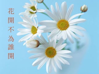 花開不為誰開 花 開 不 為 誰 開 