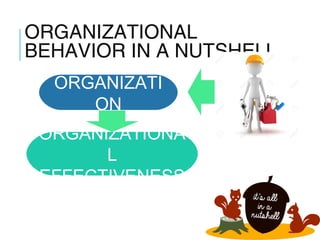 ORGANIZATIONAL
BEHAVIOR IN A NUTSHELL
1-16
ORGANIZATI
ON
ORGANIZATIONA
L
EFFECTIVENESS
 