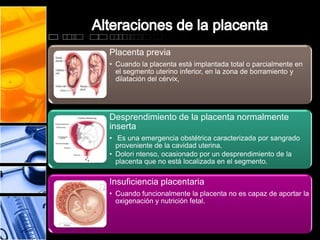 Placenta previa
• Cuando la placenta está implantada total o parcialmente en
el segmento uterino inferior, en la zona de borramiento y
dilatación del cérvix,
Desprendimiento de la placenta normalmente
inserta
• Es una emergencia obstétrica caracterizada por sangrado
proveniente de la cavidad uterina.
• Dolori ntenso, ocasionado por un desprendimiento de la
placenta que no está localizada en el segmento.
Insuficiencia placentaria
• Cuando funcionalmente la placenta no es capaz de aportar la
oxigenación y nutrición fetal.
 
