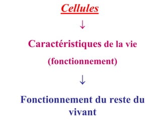 Cellules
             ↓
 Caractéristiques de la vie
     (fonctionnement)

             ↓
Fonctionnement du reste du
          vivant
 