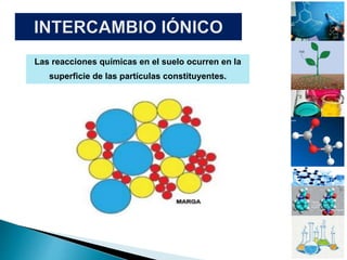 Las reacciones químicas en el suelo ocurren en la
superficie de las partículas constituyentes.
 