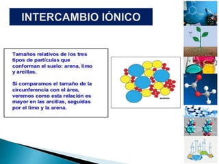 Osmosis y Osmosis Inversa