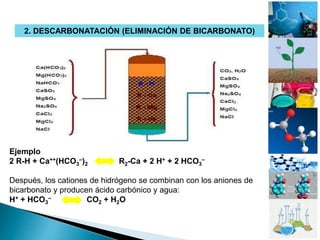 2. DESCARBONATACIÓN (ELIMINACIÓN DE BICARBONATO)
Ejemplo
2 R-H + Ca++(HCO3
–)2 R2-Ca + 2 H+ + 2 HCO3
–
Después, los cationes de hidrógeno se combinan con los aniones de
bicarbonato y producen ácido carbónico y agua:
H+ + HCO3
– CO2 + H2O
 