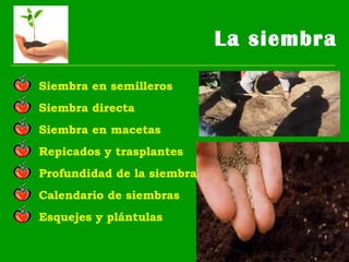 La siembra
Siembra directa
Siembra en macetas
Repicados y trasplantes
Siembra en semilleros
Profundidad de la siembra
Calendario de siembras
Esquejes y plántulas
 