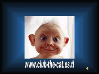www.club-the-cat.es.tl 