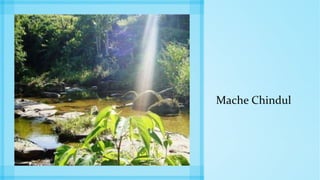 Mache Chindul
 
