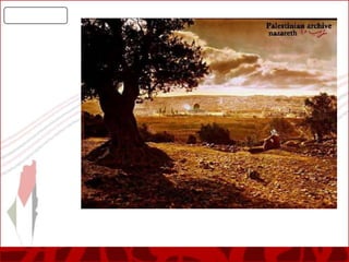 Palestine's Real Story - Occupited Palestine - the Arab Land