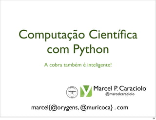 Computação Cientíﬁca
   com Python
      A cobra também é inteligente!




  marcel{@orygens, @muricoca} . com
                                      34
 