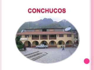 Pallasca