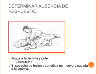 DETERMINAR AUSENCIA DE
RESPUESTA.
 Toque a la víctima y grite:
 “¿estás bien?”
 Si sopecha de lesión traumática no mueva o sacuda
a la víctima.
 