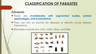 Arthropods:
 These are invertebrates with segmented bodies, jointed
appendages, and exoskeletons.
 They can act as vectors for diseases or directly cause disease
themselves.
 Examples include lice, ticks, mites, fleas, and flies.
CLASSIFICATION OF PARASITES
 