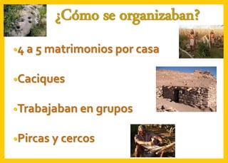 ¿Cómo se organizaban?
•4 a 5 matrimonios por casa
•Caciques
•Trabajaban en grupos
•Pircas y cercos
 