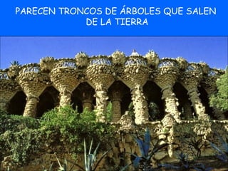 PARECEN TRONCOS DE ÁRBOLES QUE SALEN  DE LA TIERRA 