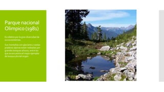 Parque nacional
Olimpico (1981)
Es célebre por la gran diversidad de
sus ecosistemas.
Sus montañas con glaciares y vastas
praderas alpinas están rodeadas por
grandes bosques añosos, entre los
que se encuentra el mejor ejemplar
de bosque pluvial virgen
 