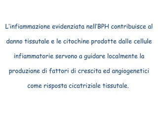 L’infiammazione evidenziata nell’BPH contribuisce al danno tissutale e le citochine prodotte dalle cellule infiammatorie servono a guidare localmente la produzione di fattori di crescita ed angiogenetici come risposta cicatriziale tissutale.  