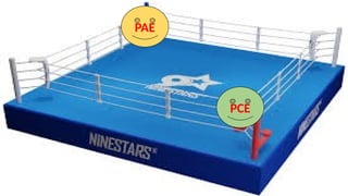 PAE
PCE
 